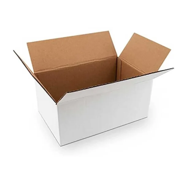 Master Carton - Image 10