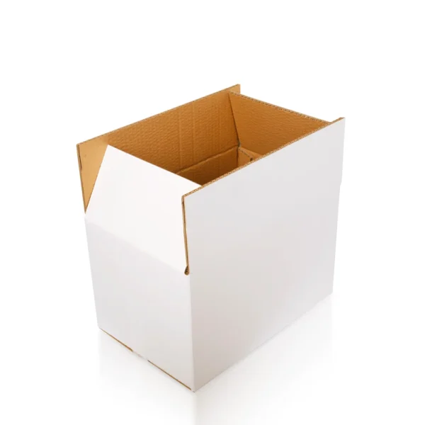 Master Carton - Image 11