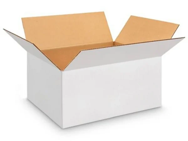 Master Carton - Image 7
