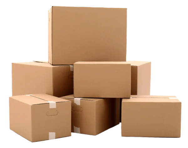 Master Carton