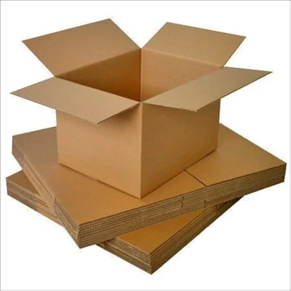 Master Carton - Image 5