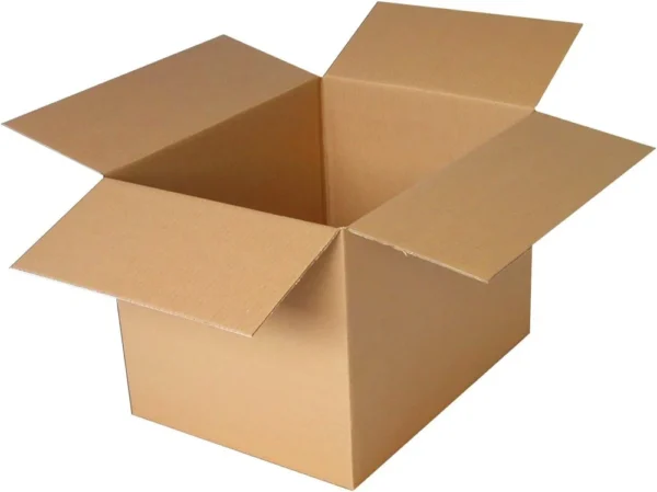 Master Carton - Image 4